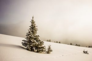 aQNy0za7x0k-lionello-delpiccolo-unsplash