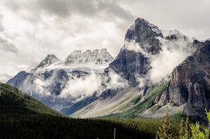 mkdI8JN6sDU-matheus-bandoch-unsplash