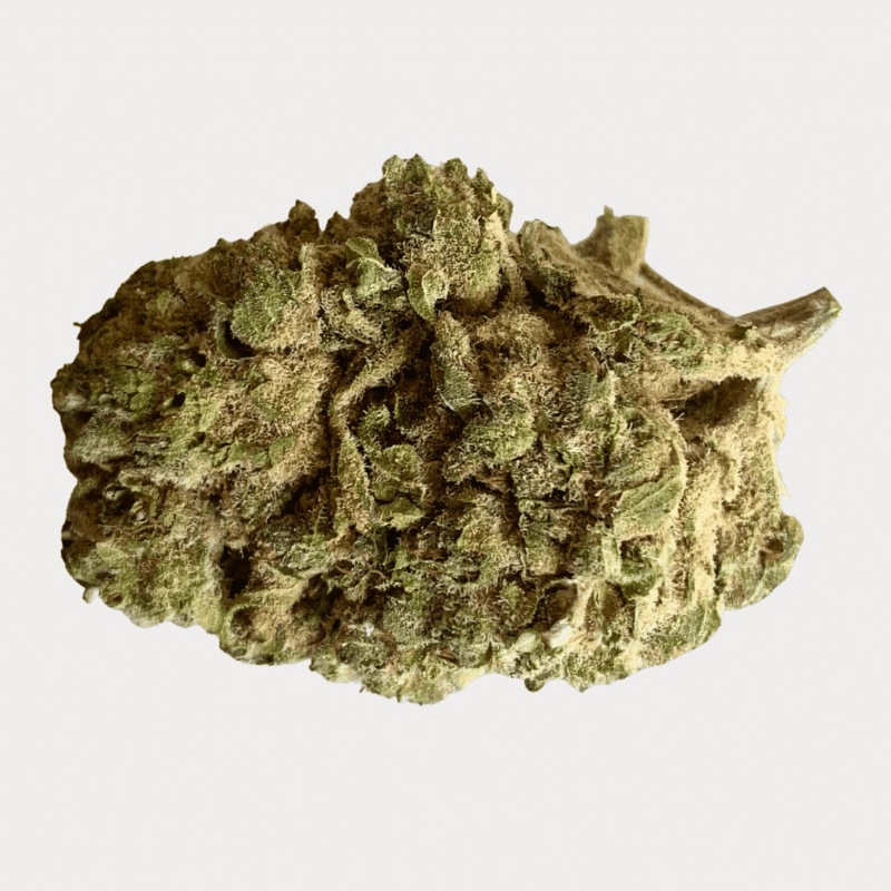 Swiss Medical Cannabis SA