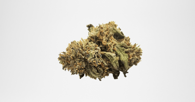 Fleurs CBD Chocolope