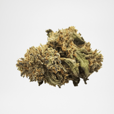 Fleurs CBD Chocolope