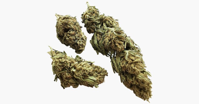 Fleurs CBD Hemp 420