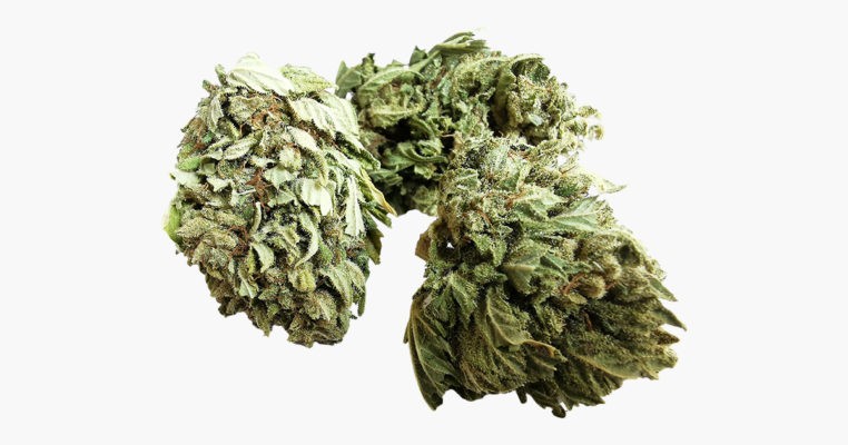 Fleurs CBD Katsura Kush