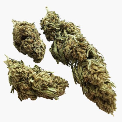 Fleurs CBD Hemp 420