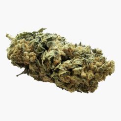 Fleurs CBD Super Silver Haze cannabis