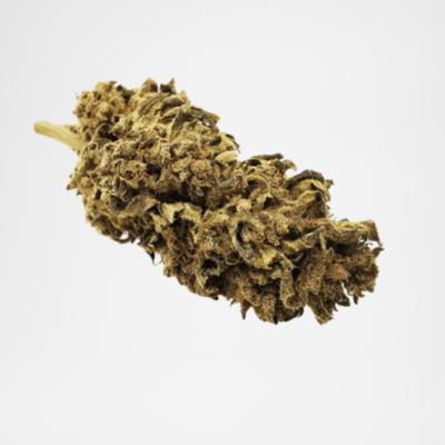 Fleurs CBD Northern Light X