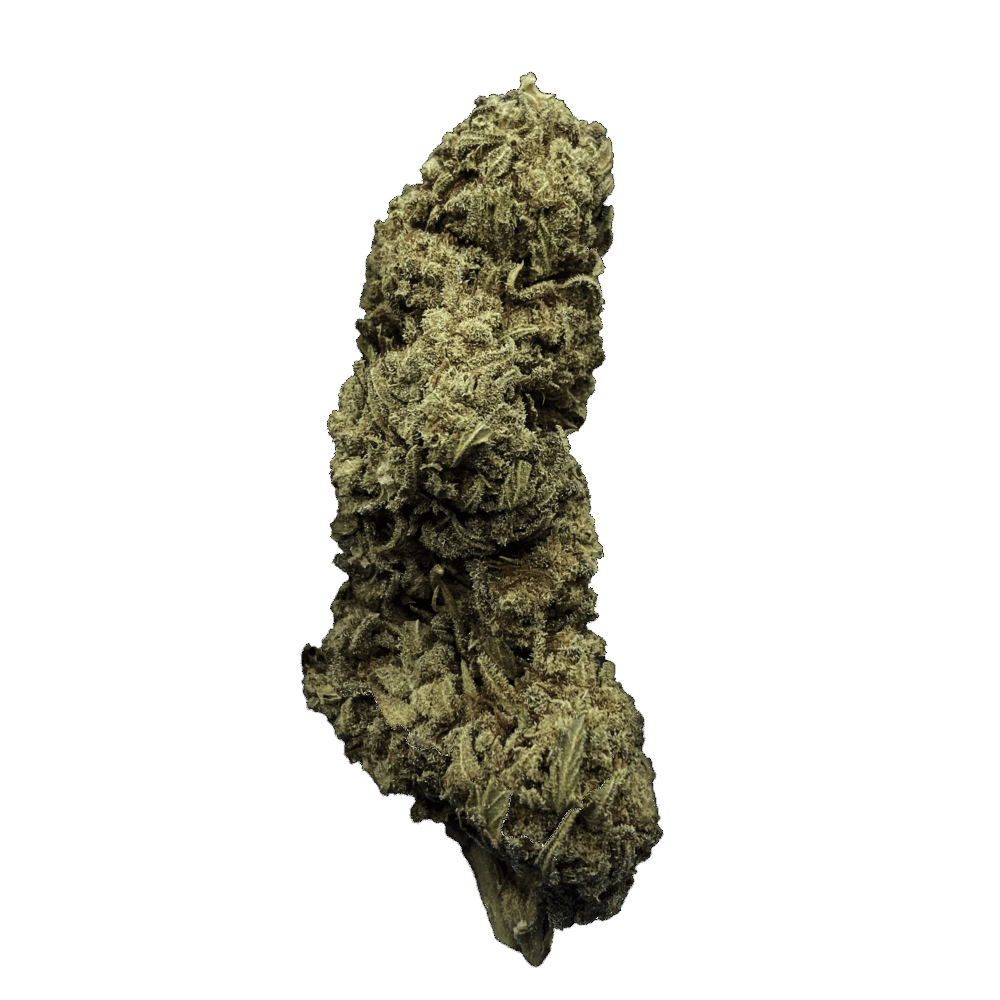 LEMON SKUNK - FLEURS CBD