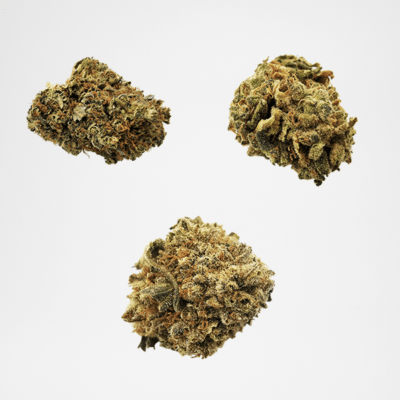 Starter Pack Indoor Fleurs CBD cannabis
