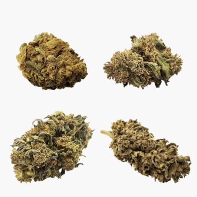 Starter Pack Outdoor
