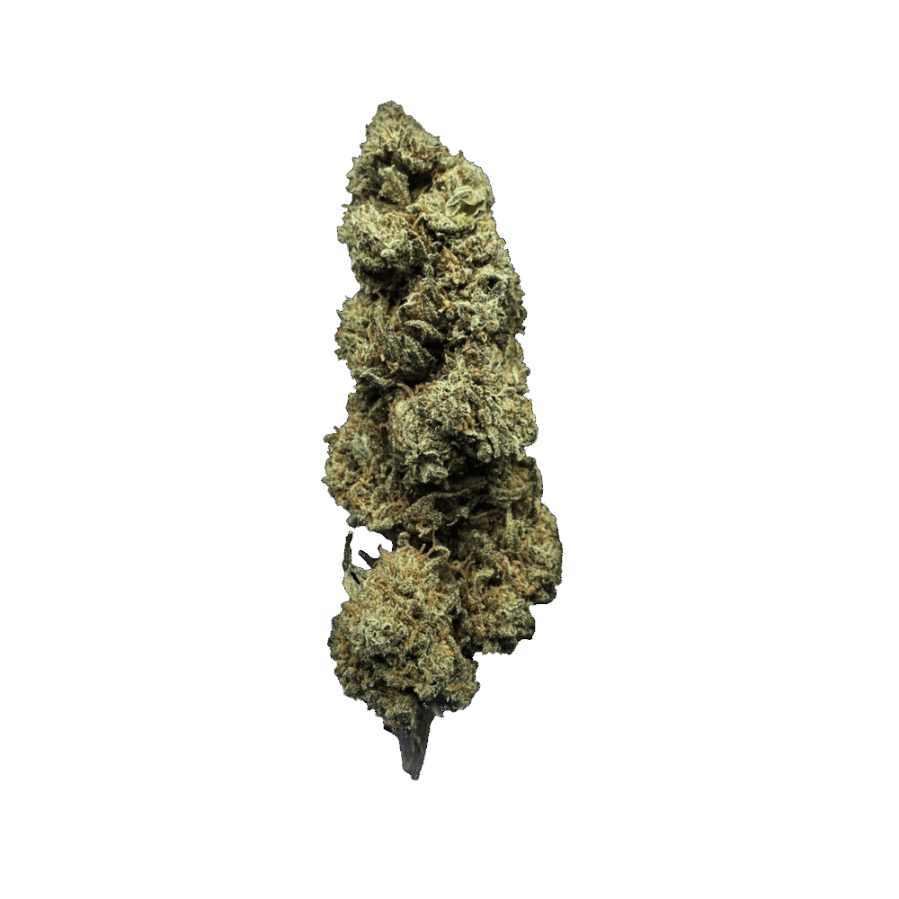 AMNESIA GREENHOUSE - FLEURS CBD