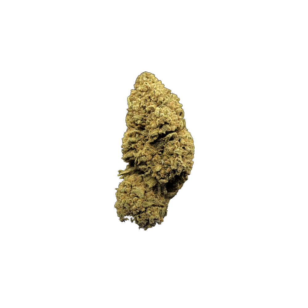 AK 47 - GREENHOUSE