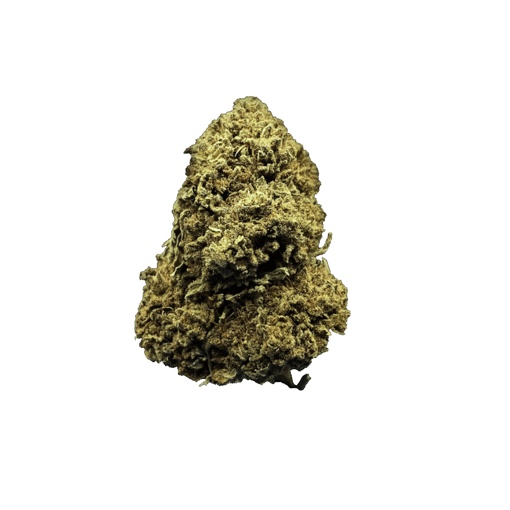 JACK DIESEL - FLEURS CBD