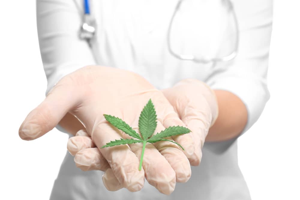 swiss medical cannabis
