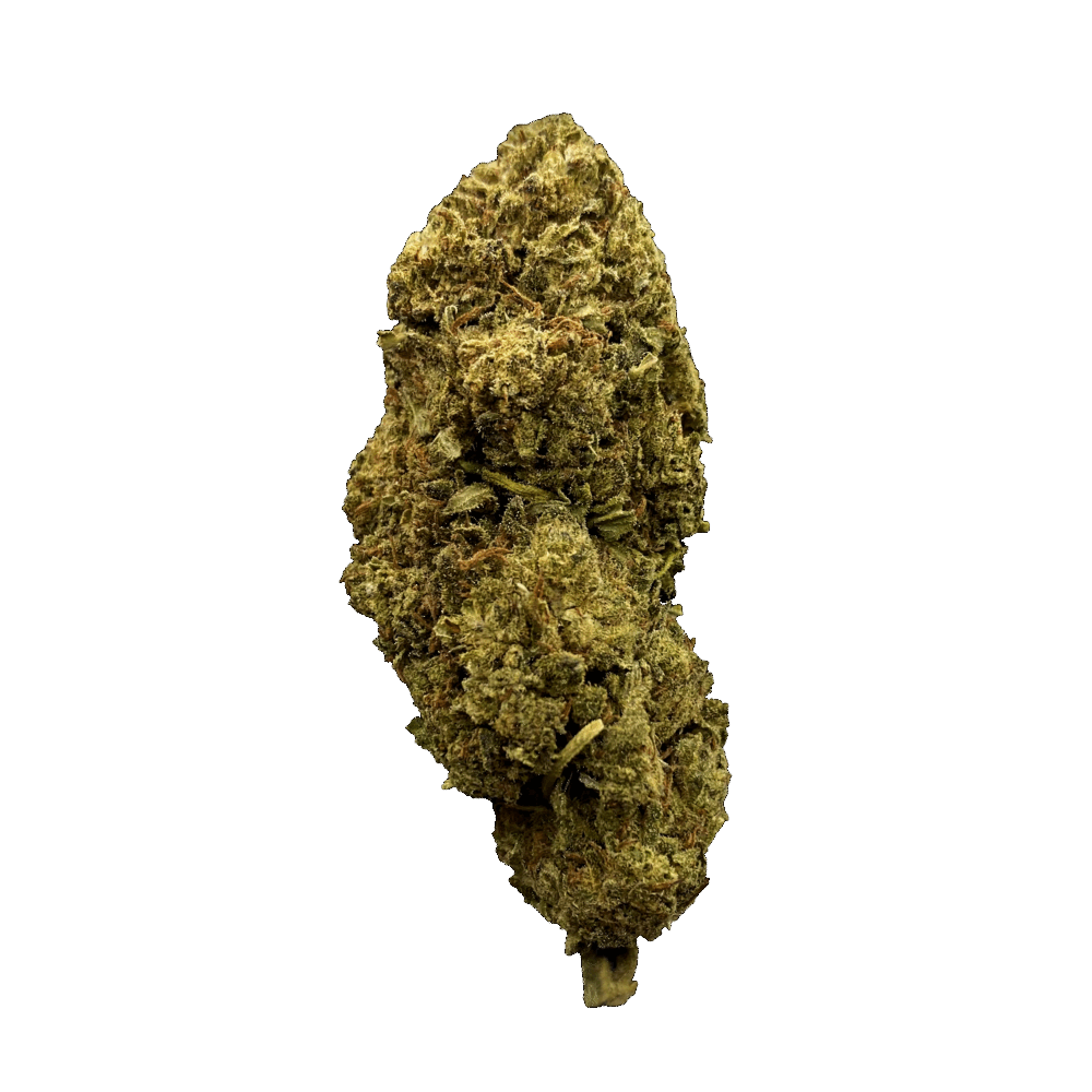 WHITE WIDOW - FLEURS CBD