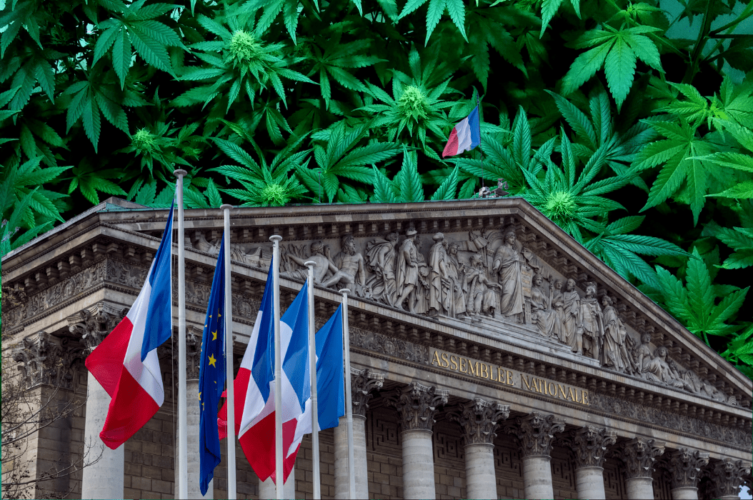 Swiss Medical Cannabis SA