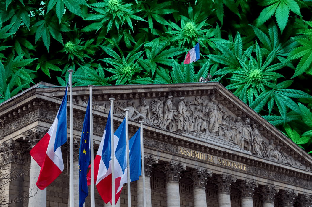 Swiss Medical Cannabis SA