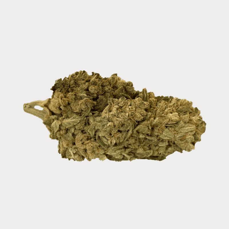 Swiss Medical Cannabis SA