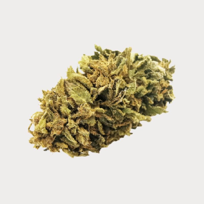 Swiss Medical Cannabis SA