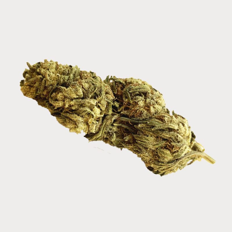 Swiss Medical Cannabis SA