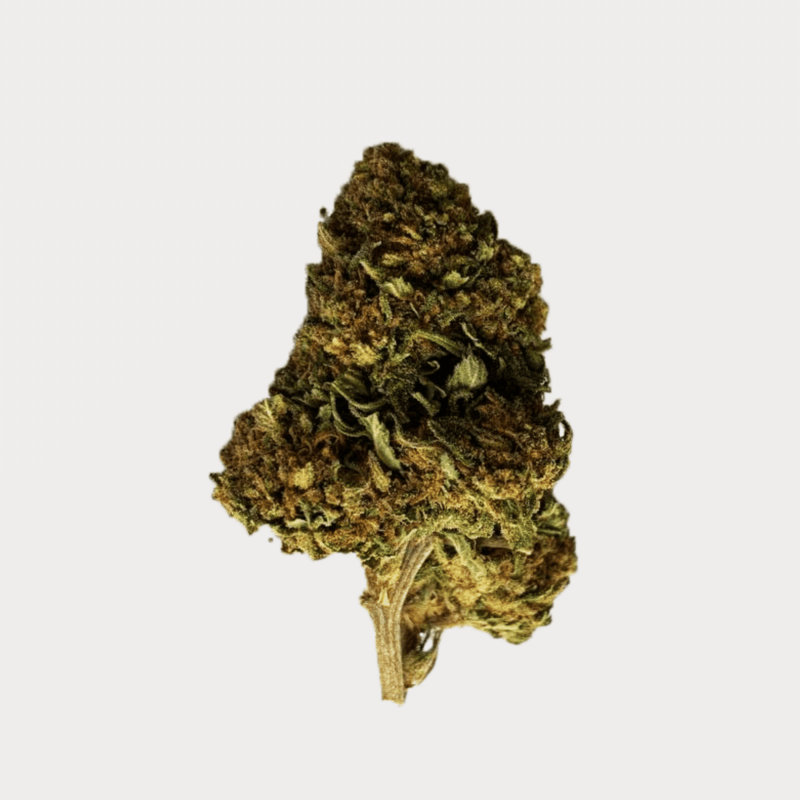 Swiss Medical Cannabis SA