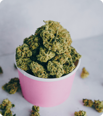 Swiss Medical Cannabis SA