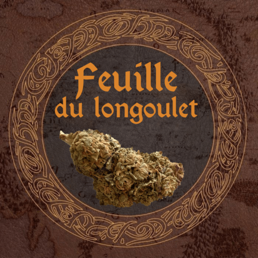 Lord of the rings - Feuille du longoulet