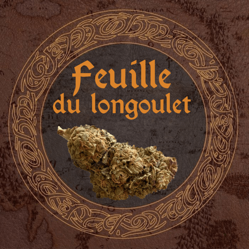 Swiss Medical Cannabis SA