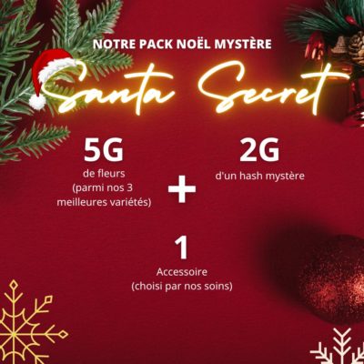 Santa secret