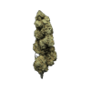 Fleurs CBD Amnesia - Indoor