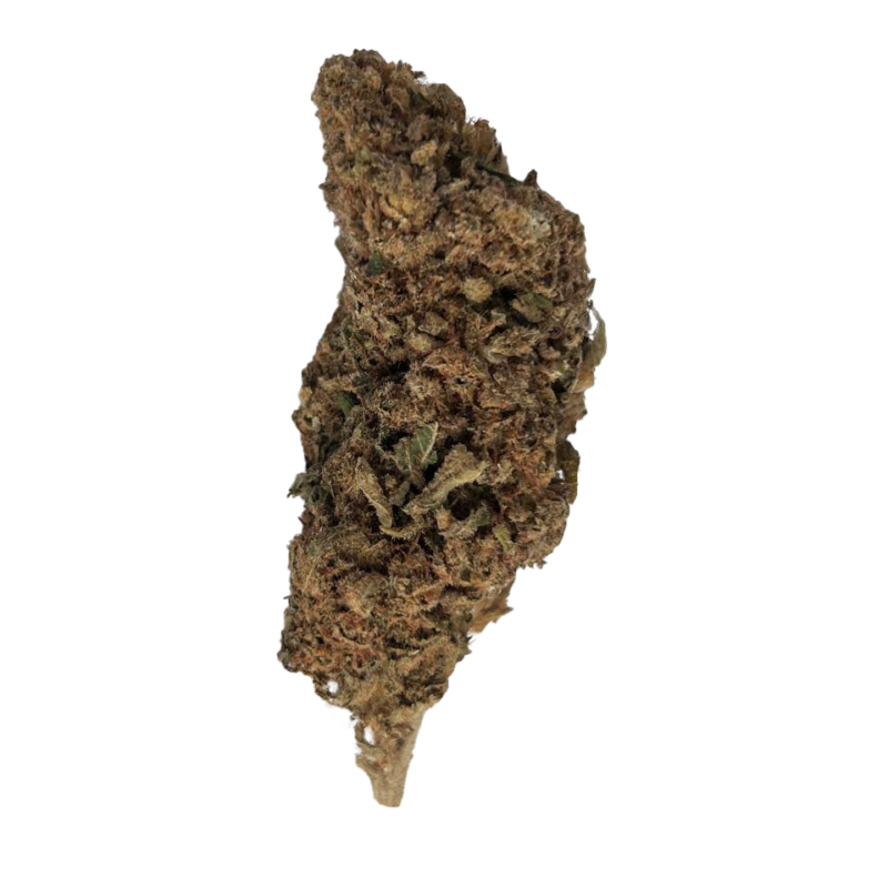 Swiss Medical Cannabis SA
