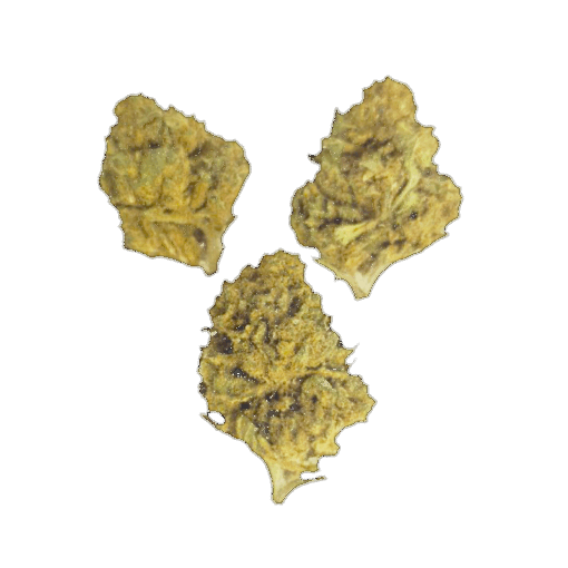 FLeurs CBD MiniBud Greenhouse