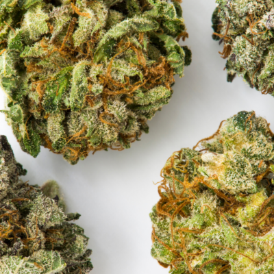 Fleur CBD Swiss Medical Cannabis