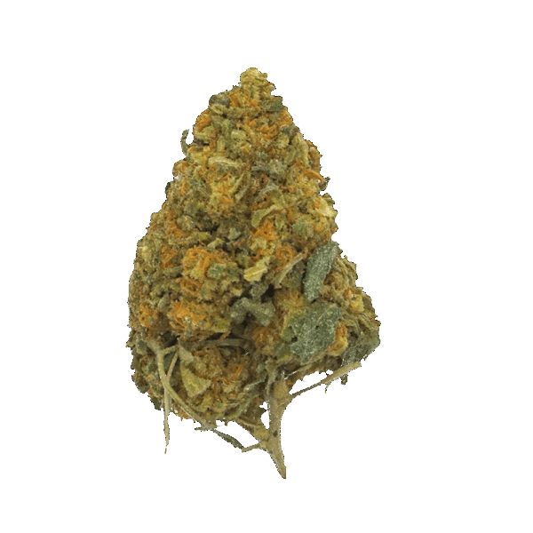 Bubble Gum