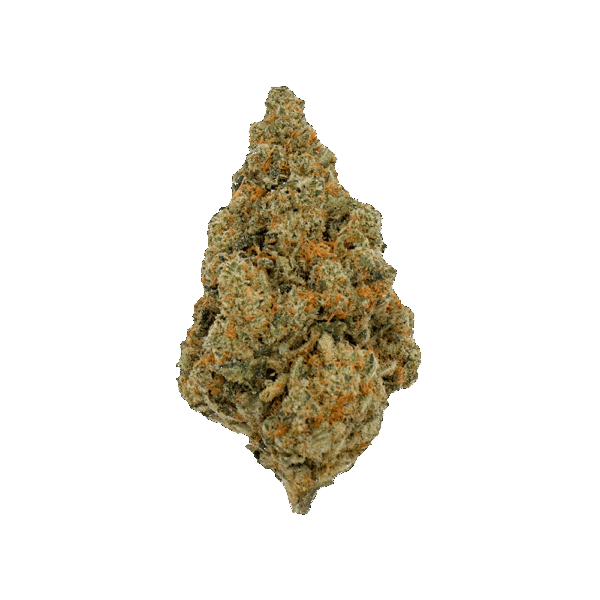 Diesel Tonic