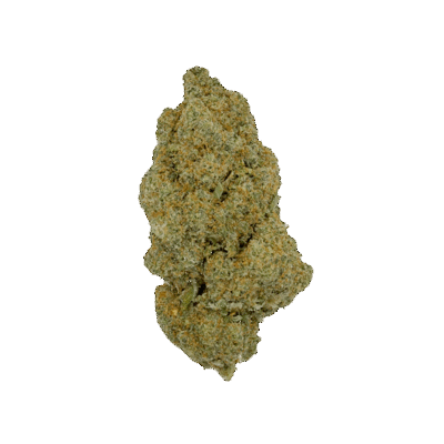 White Widow